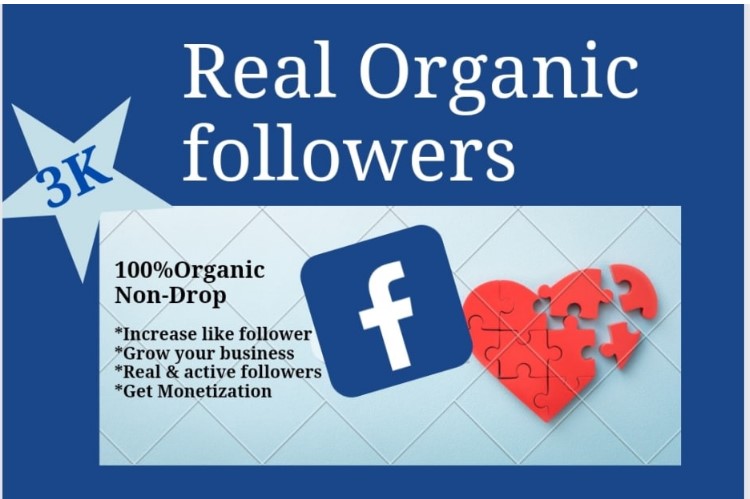 Facebook Organic Like Followers Real Non Drop Cheap Price